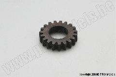 Protech RC - Clutch Gear 19T T0683.105