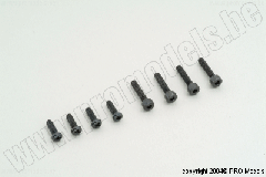 SCREW SET T12038