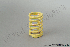 REAR SPRINGS (YELLOW) 2,1MM T47.234