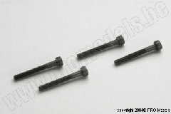 Protech RC - 3X25 Cap Screw T54.010