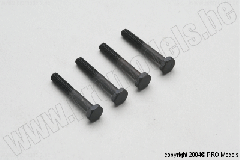 BRAKE PAD SCREWS 4PCS T57.030