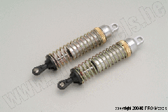 SHOCK ABSORBERS REAR T60.046