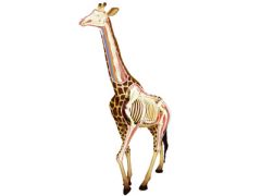 Giraffe Revell 02094