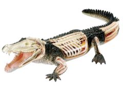 Krokodil Revell 02095