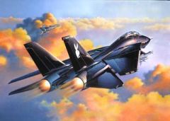 Grumman F-14A Black Tomcat Revell 04514