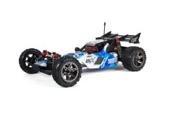 Arrma Raider 2014 Blx Painted Decal AR402101