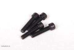 Axial SCREW .28/.32 (4) AX018