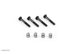 BRAKE SCREW & SPRING SET TD210029