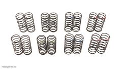 BIG BORE SPRING SET: 45mm LENGTH TD230027