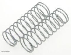 SPRINGS: FRONT 4.5X10.0X1.0MM (2 TD330053