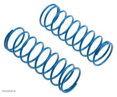 SPRINGS: FRONT 5.5X8.0X1.1MM (2p TD330058