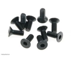 FLAT HEAD HEX CS SCREW M3x8mm (1 TD704006