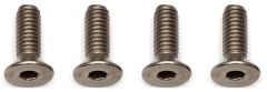 Ti Screws Thunder Tiger 03081286