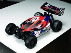 TOM BX 1:10 Nitro 4WD Buggy 3,0ccm RTR 2.4G, ROT iFHss+ Thunder Tiger 6195-F271