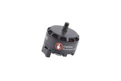 Brushless-Motor rechtssdrehend Voyager 3 (WS-42-002) Walkera 15003542