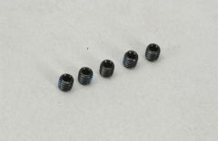 Schrauben Set 5x5mm (m.Sich.Lack) P XTM