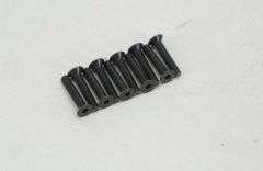 F/H Cap Schraube 3x16mm (Pk10) XTM