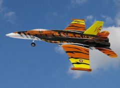 F/A-18 Tiger EPO ARF mit Moto Krick 17255