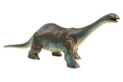 Apatosaurus/Brontosaurus Baus Krick li70281