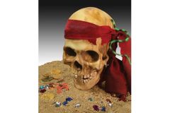 Pirates Skull Krick li71302