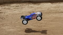 Losi Mini 8IGHT-T Maifield-Edition 1/14 4WD Truggy RTR Horizon LOS01010I